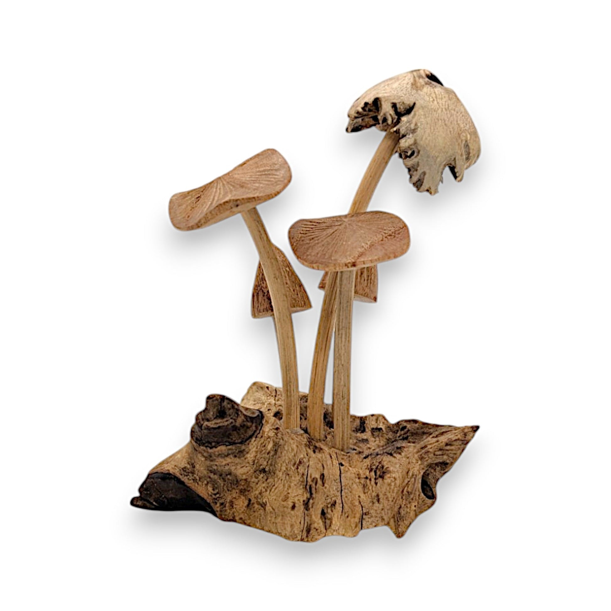 Indonesian hand carved wood mushroom set for home decor.