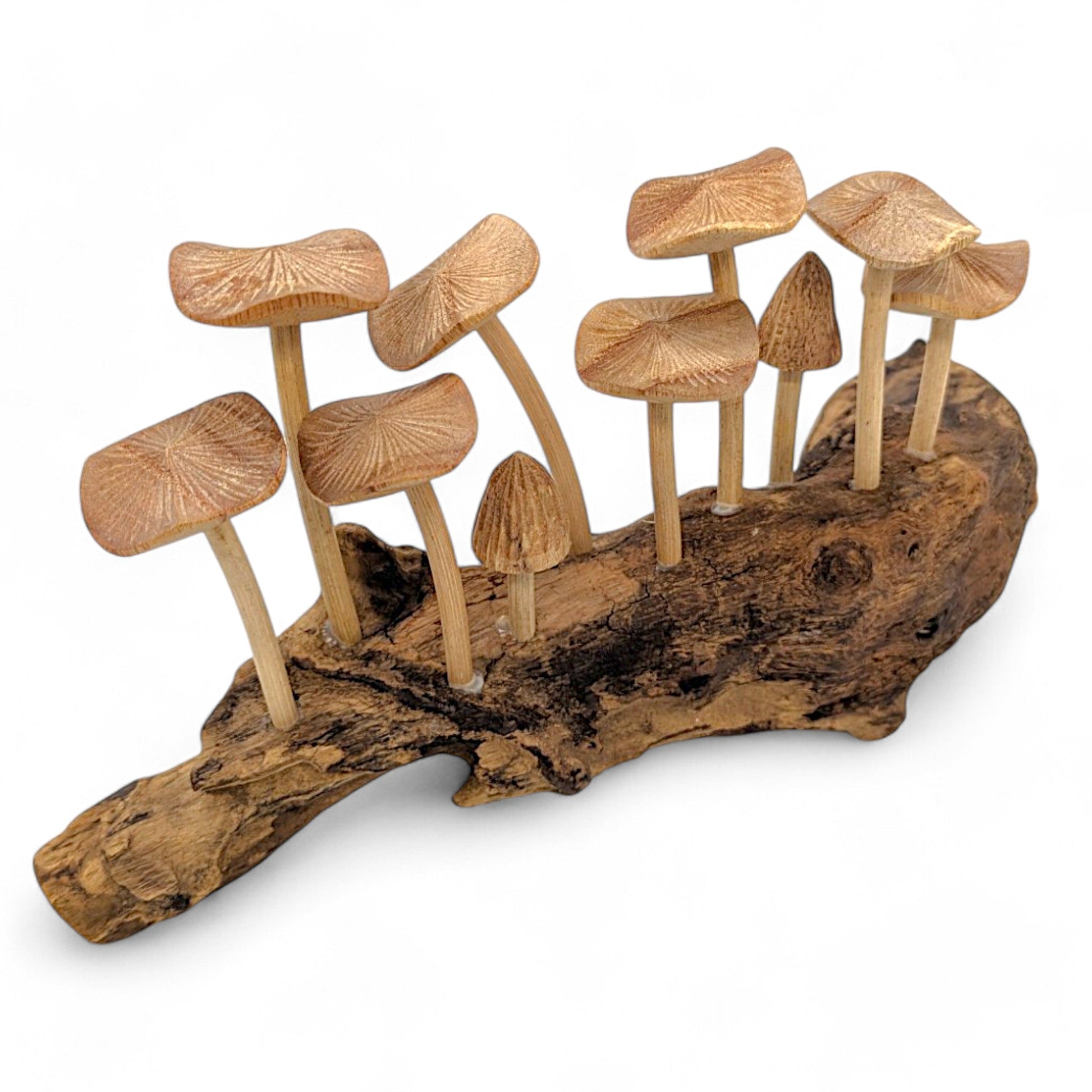 Indonesian carved wood mushroom set with ten handcrafted mushrooms on a rustic base.