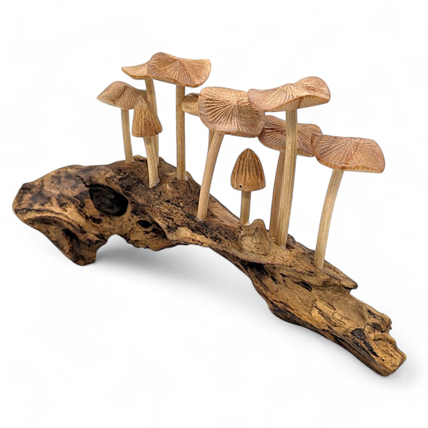 Indonesian carved wood mushroom set on driftwood, handcrafted decor.